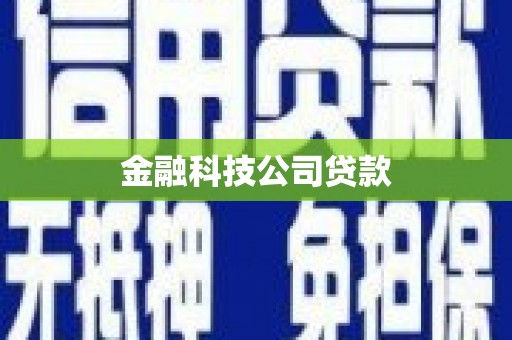 池上金融科技公司贷款