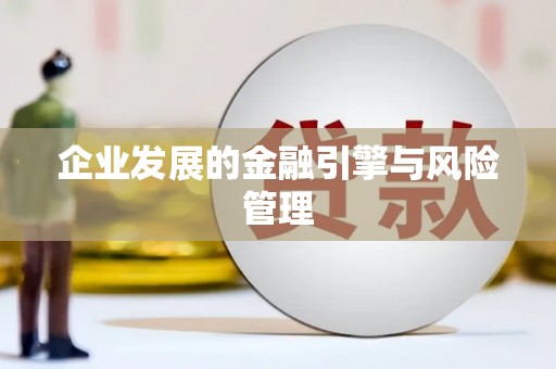 马边企业发展的金融引擎与风险管理