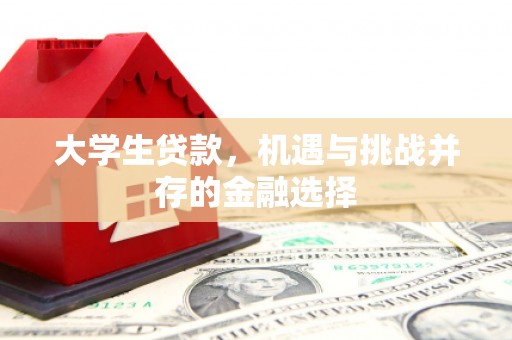 长洲大学生贷款，机遇与挑战并存的金融选择