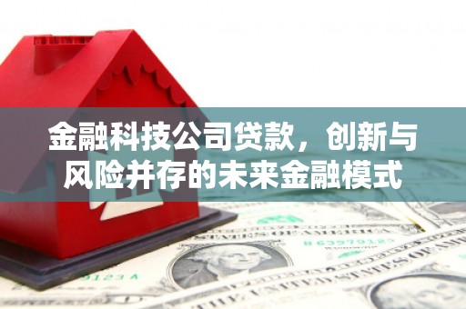 威宁金融科技公司贷款，创新与风险并存的未来金融模式