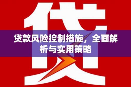 龙崎贷款风险控制措施，全面解析与实用策略