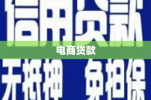 龙川电商贷款