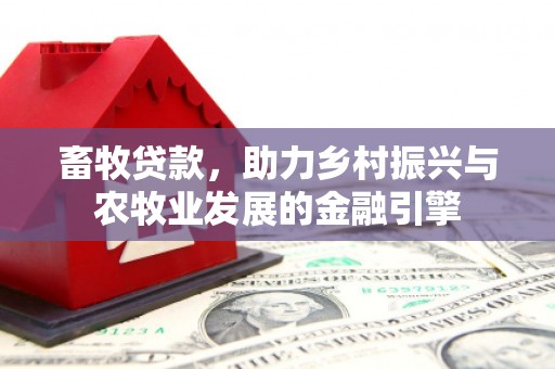 共和畜牧贷款，助力乡村振兴与农牧业发展的金融引擎