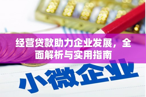 武侯经营贷款助力企业发展，全面解析与实用指南