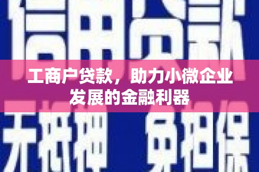 平湖工商户贷款，助力小微企业发展的金融利器