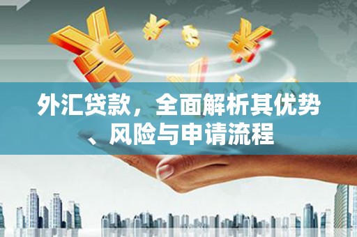 定兴外汇贷款，全面解析其优势、风险与申请流程