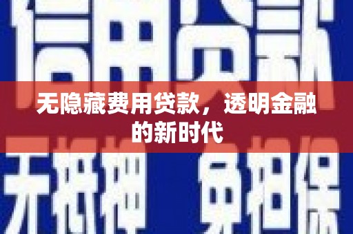 岱岳无隐藏费用贷款，透明金融的新时代
