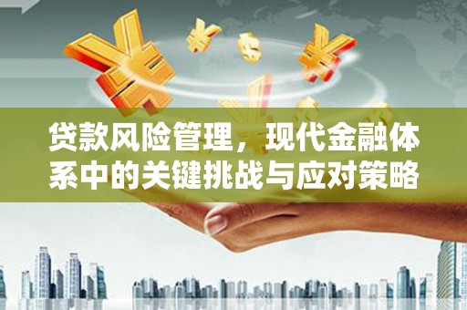 唐山贷款风险管理，现代金融体系中的关键挑战与应对策略