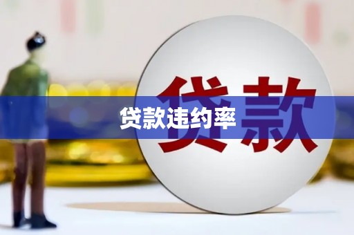 巴里坤贷款违约率