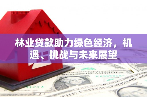 清镇林业贷款助力绿色经济，机遇、挑战与未来展望