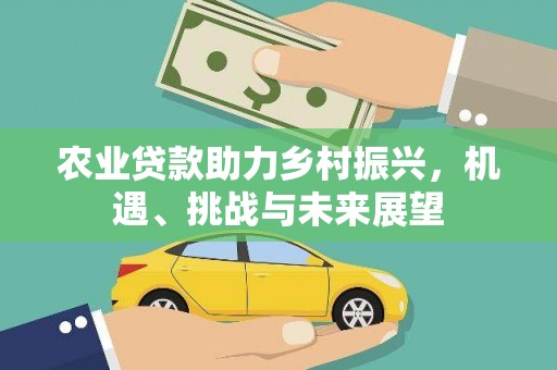 临潭农业贷款助力乡村振兴，机遇、挑战与未来展望
