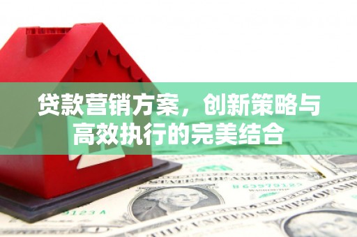 茄萣贷款营销方案，创新策略与高效执行的完美结合