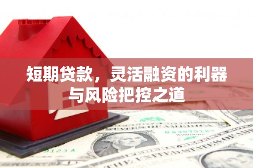 松溪短期贷款，灵活融资的利器与风险把控之道