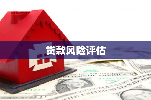 淮阳贷款风险评估