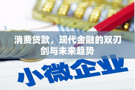 叶县消费贷款，现代金融的双刃剑与未来趋势