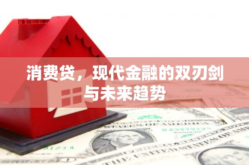 巨野消费贷，现代金融的双刃剑与未来趋势