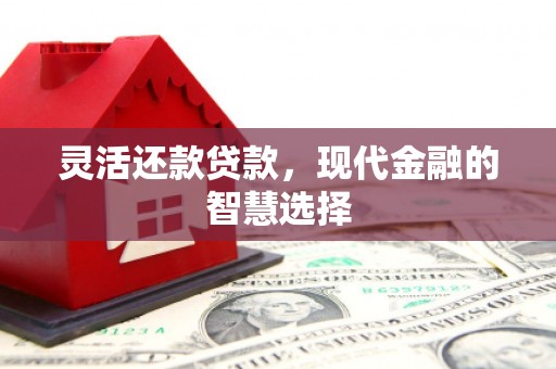 高邮灵活还款贷款，现代金融的智慧选择