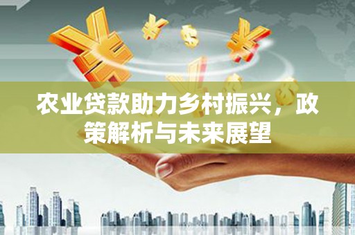 柳南农业贷款助力乡村振兴，政策解析与未来展望