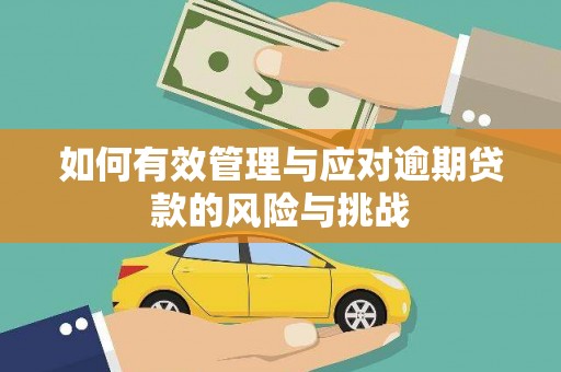 冕宁如何有效管理与应对逾期贷款的风险与挑战