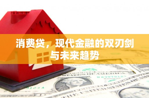 新都消费贷，现代金融的双刃剑与未来趋势