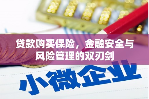 谢通门贷款购买保险，金融安全与风险管理的双刃剑