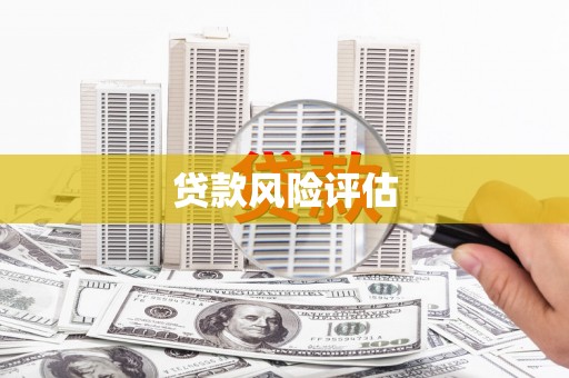清流贷款风险评估