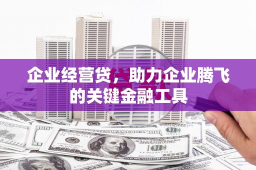 林芝企业经营贷，助力企业腾飞的关键金融工具