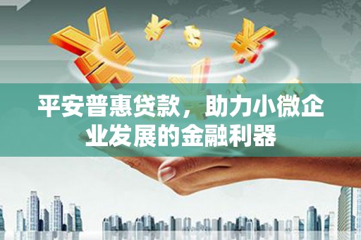 彝良平安普惠贷款，助力小微企业发展的金融利器