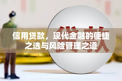 阜宁信用贷款，现代金融的便捷之选与风险管理之道