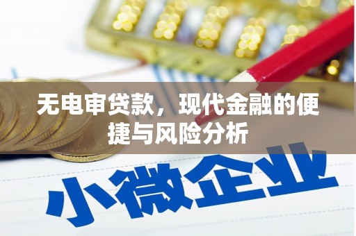 灌云无电审贷款，现代金融的便捷与风险分析