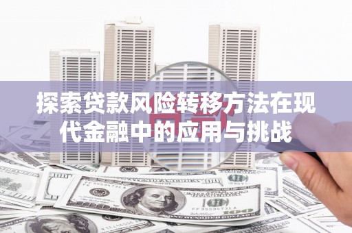 西市探索贷款风险转移方法在现代金融中的应用与挑战