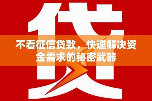 叶县不看征信贷款，快速解决资金需求的秘密武器
