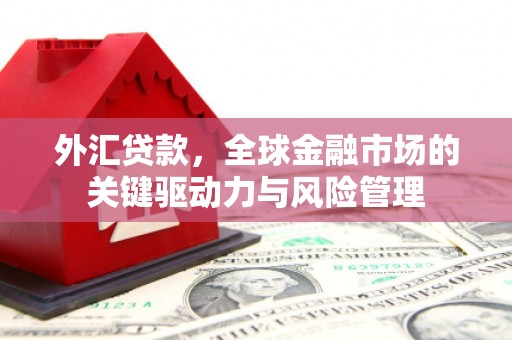 禅城外汇贷款，全球金融市场的关键驱动力与风险管理