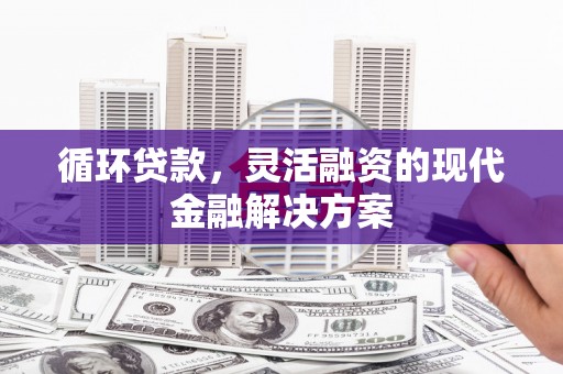 罗定循环贷款，灵活融资的现代金融解决方案