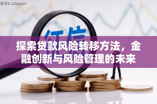漠河探索贷款风险转移方法，金融创新与风险管理的未来
