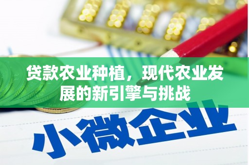 泸州贷款农业种植，现代农业发展的新引擎与挑战