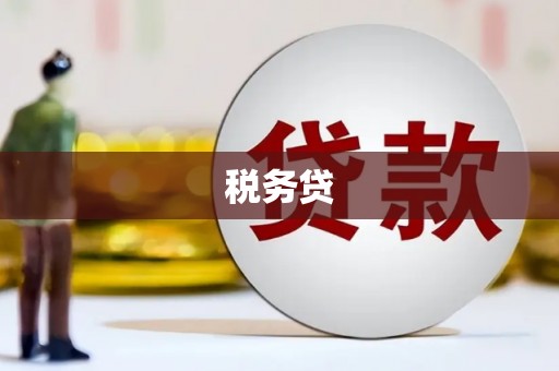 吉木萨尔税务贷