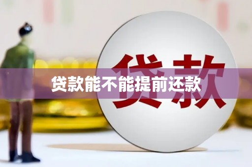 丹徒贷款能不能提前还款