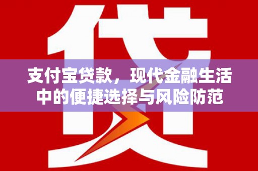 黔西南支付宝贷款，现代金融生活中的便捷选择与风险防范