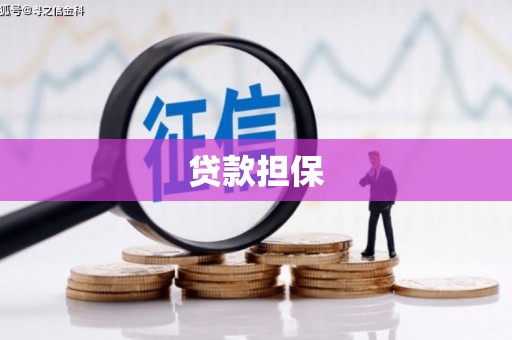 柞水贷款担保