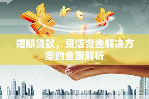 昌都短期贷款，灵活资金解决方案的全面解析