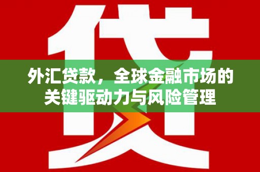 工布江达外汇贷款，全球金融市场的关键驱动力与风险管理