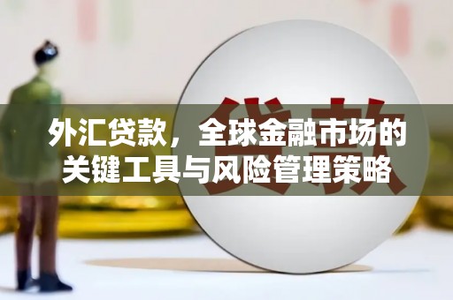 沂源外汇贷款，全球金融市场的关键工具与风险管理策略