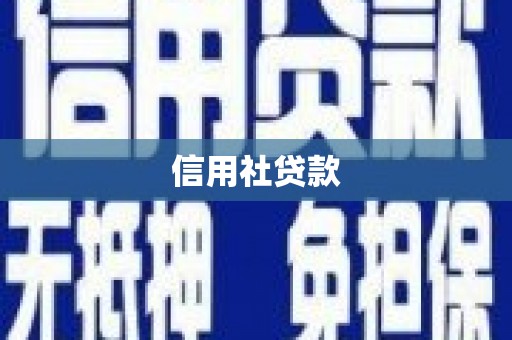 通山信用社贷款