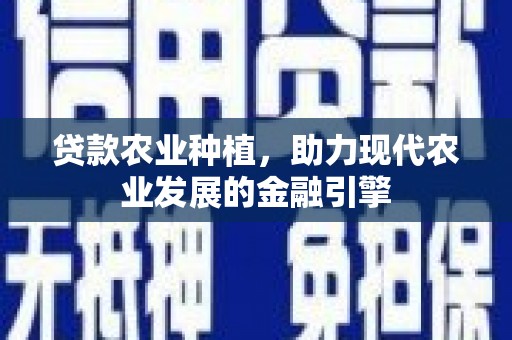 茄萣贷款农业种植，助力现代农业发展的金融引擎