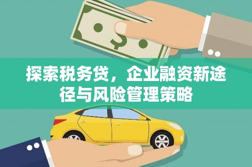 汉川探索税务贷，企业融资新途径与风险管理策略