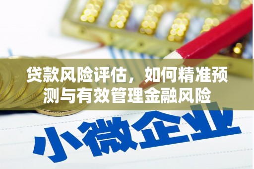 崖州贷款风险评估，如何精准预测与有效管理金融风险