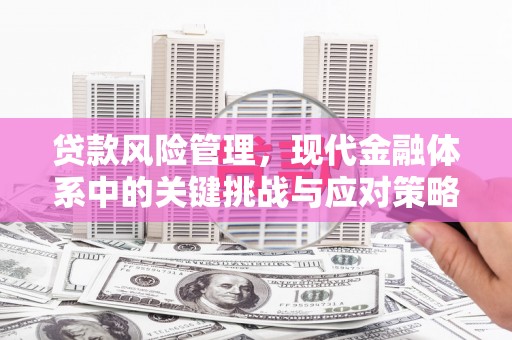 大英贷款风险管理，现代金融体系中的关键挑战与应对策略