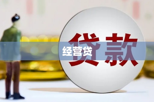 玄武经营贷