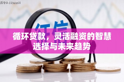 武义循环贷款，灵活融资的智慧选择与未来趋势
